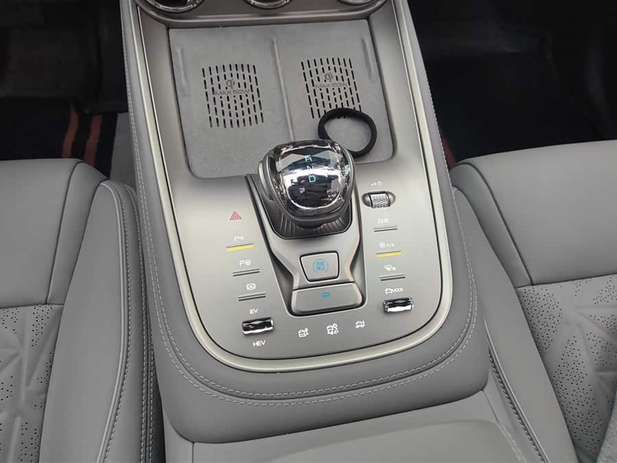 Denza N8 2023 صورة سيارة #17