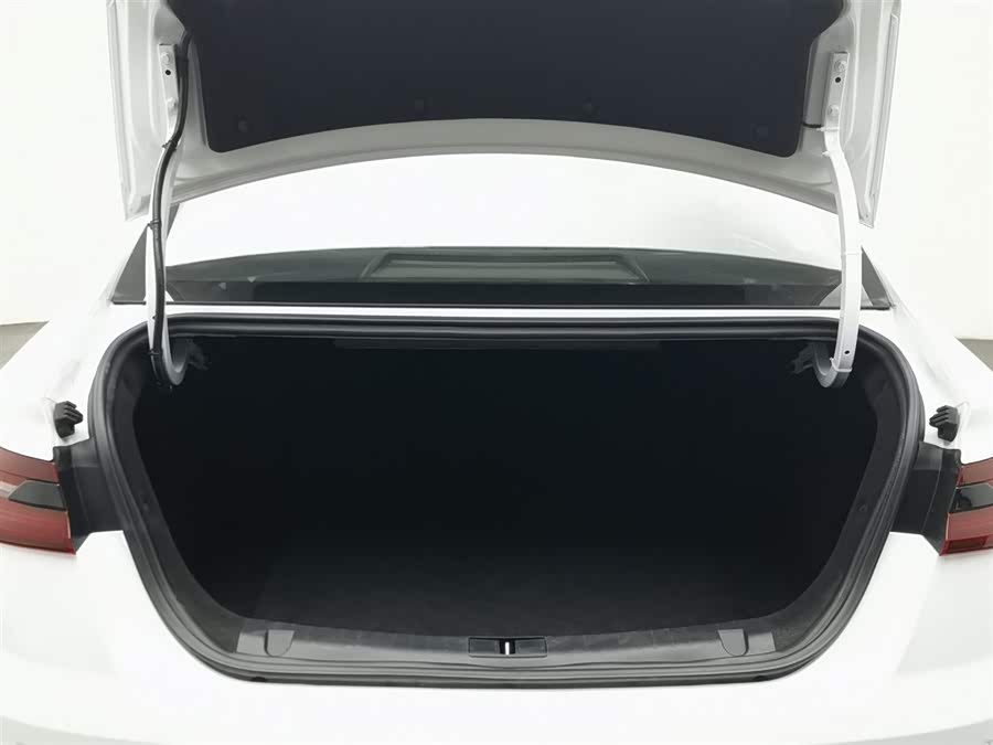 睿蓝汽车 枫叶60s 2023 汽车图片 #17