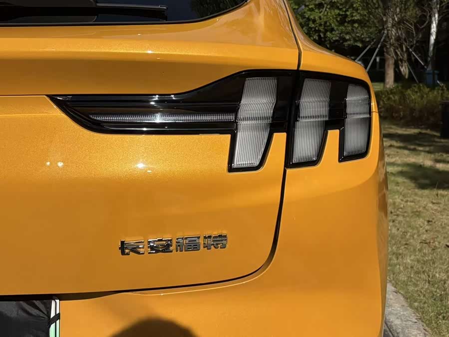 Ford Mustang Mach-E 2024 car image #17