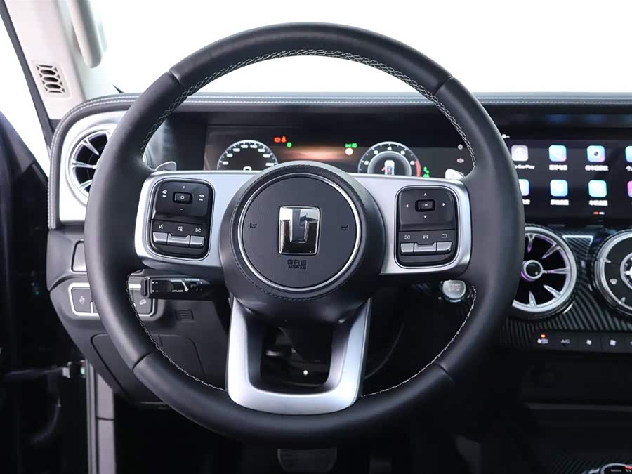 Tank 300 2024 car image #17