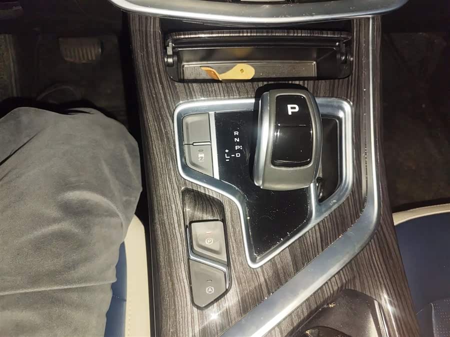 睿蓝汽车 枫叶80v PRO 2023 汽车图片 #17