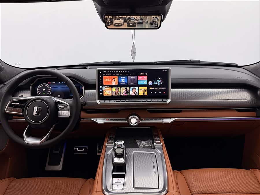 Tank 700 New Energy 2024 imagen de coche #17