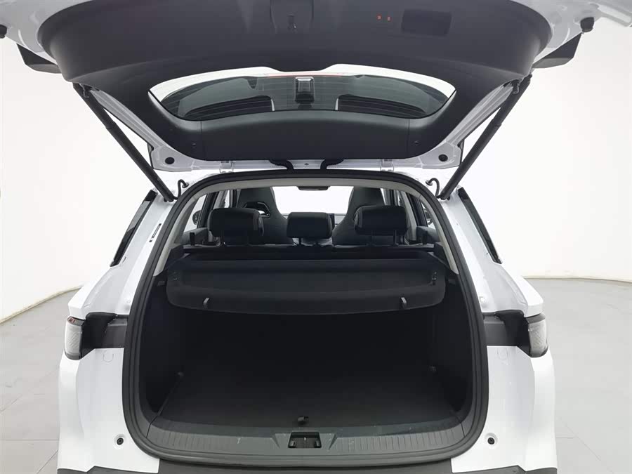 BYD Sea Lion 05 DM-i 2025 car image #17