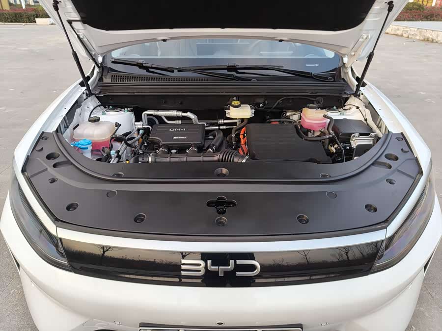 BYD Sea Lion 05 DM-i 2025 car image #17