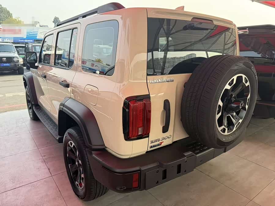 Tank 300 New Energy 2025 car image #17