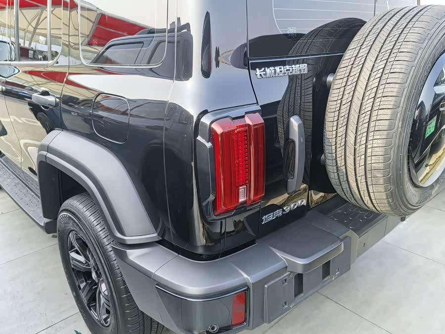 Tank 300 2023 #17 Tank 300 2023 صورة سيارة #17