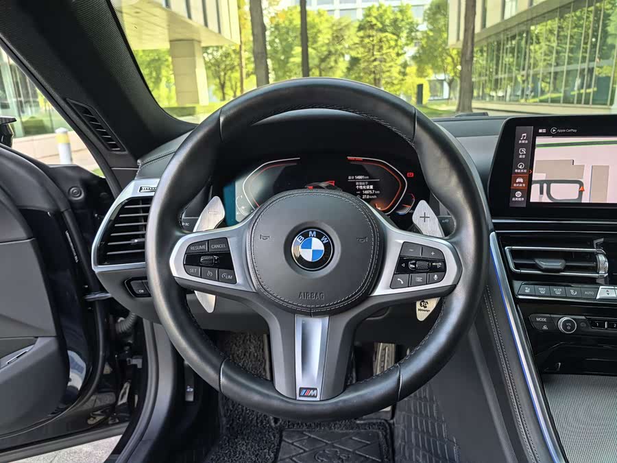 BMW 8 Series 2023 car image #17