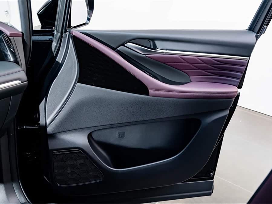 GAC Trumpchi E9 2024 car image #17