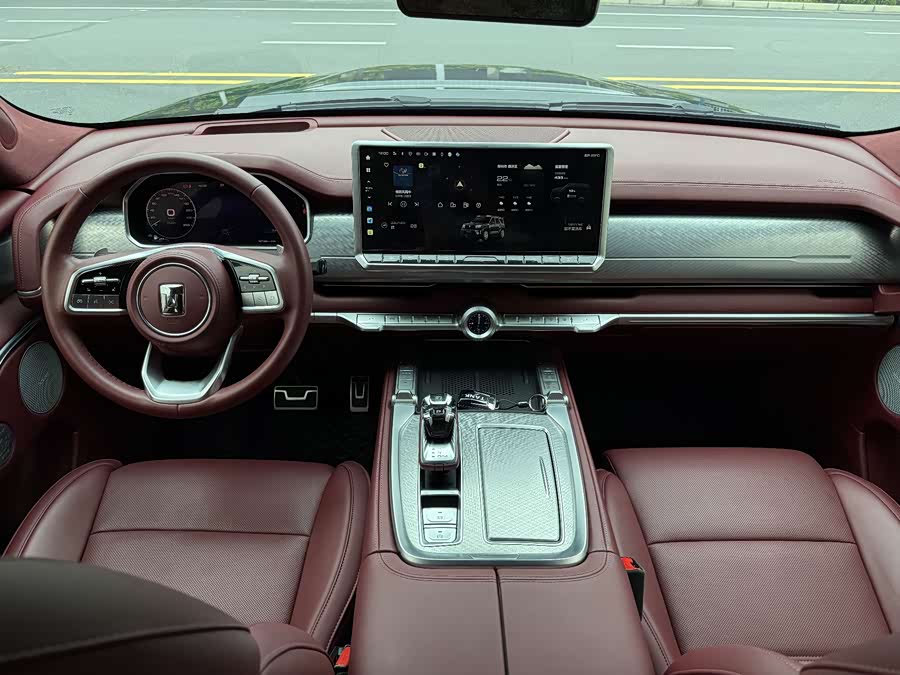 Tank 700 New Energy 2024 car image #17