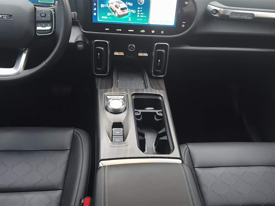 Haval X Dog / Dargo 2022 car image #17