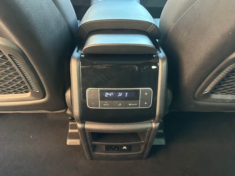 Denza X 2020 #17 Denza X 2020 car image #17