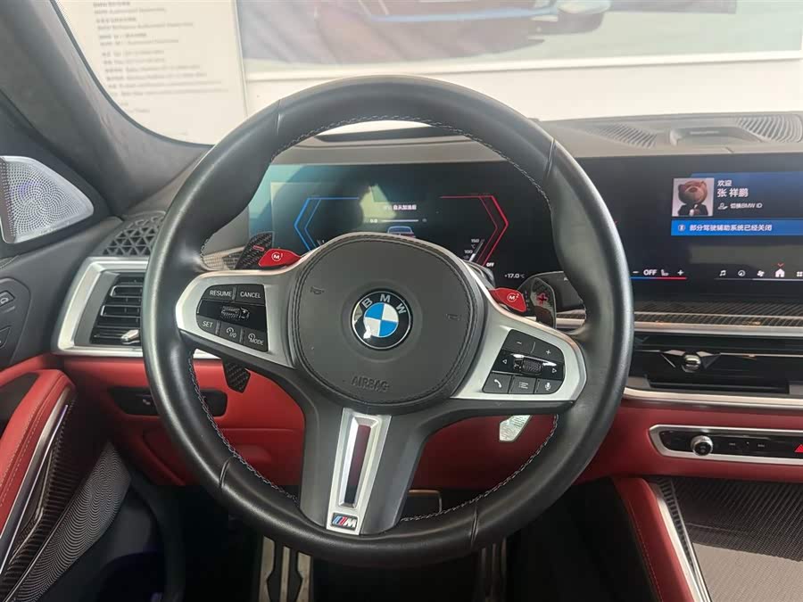 BMW X6 M 2024 #17 BMW X6 M 2024 car image #17