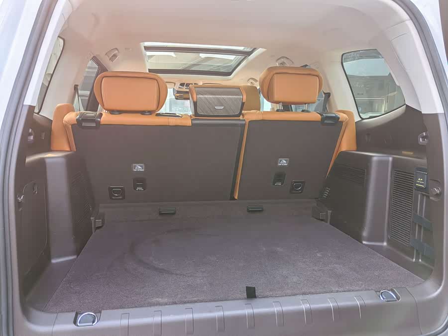 Tank 500 New Energy 2024 immagine di auto #17