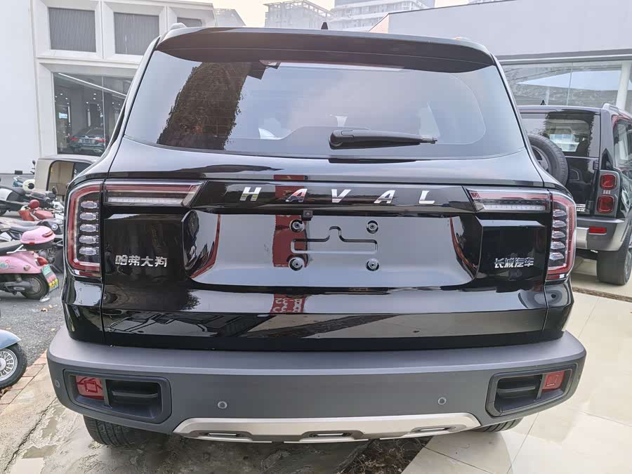 Haval X Dog / Dargo 2022 car image #17