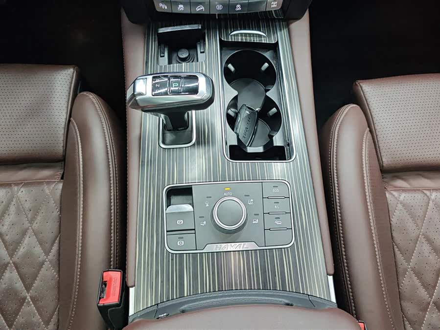 哈弗 哈弗H9 2020 汽车图片 #17