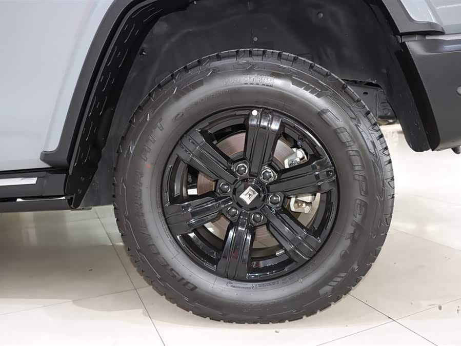 坦克 坦克300 2022 汽车图片 #17