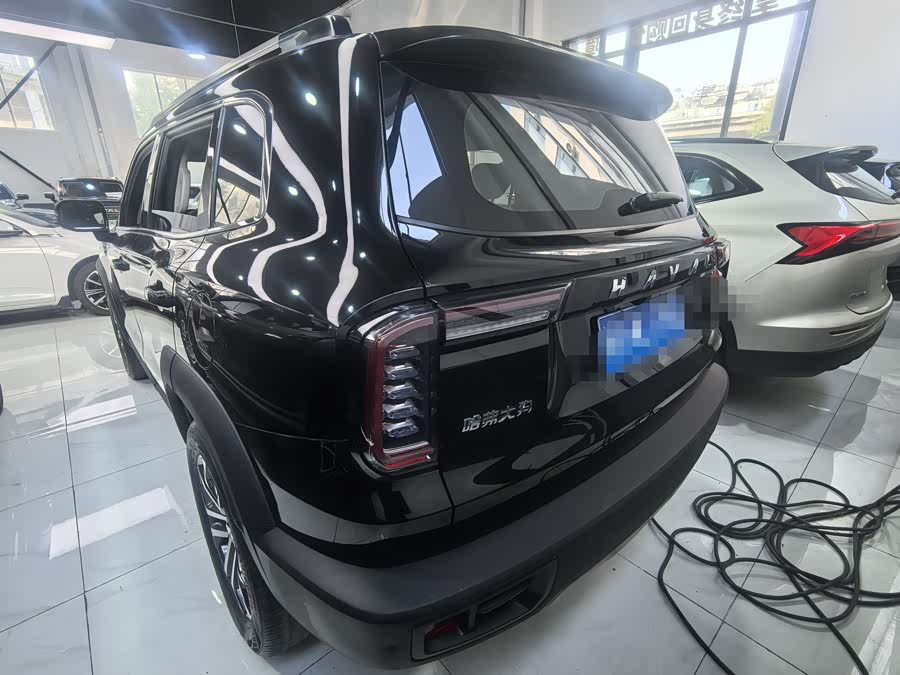 Haval X Dog / Dargo 2022 immagine di auto #17