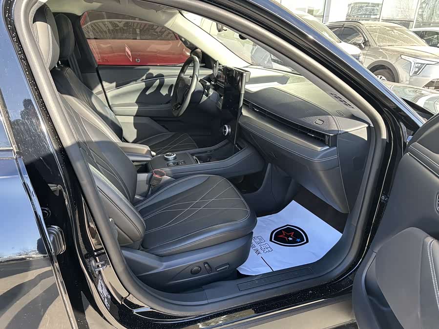 Ford Mustang Mach-E 2022 car image #17