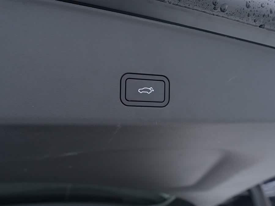 极氪 极氪009 2024 汽车图片 #17