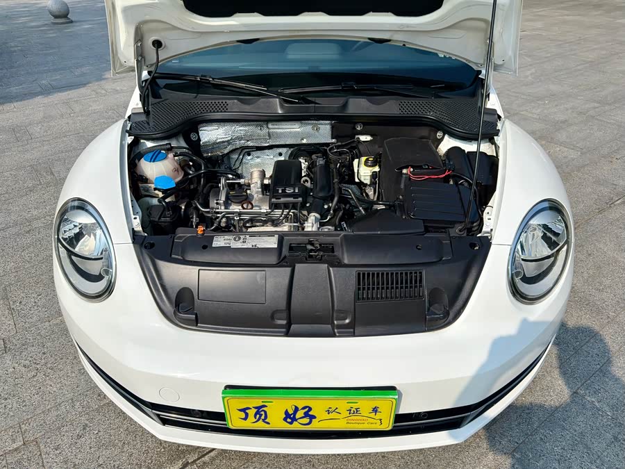 Volkswagen Beetle 2013 immagine di auto #17