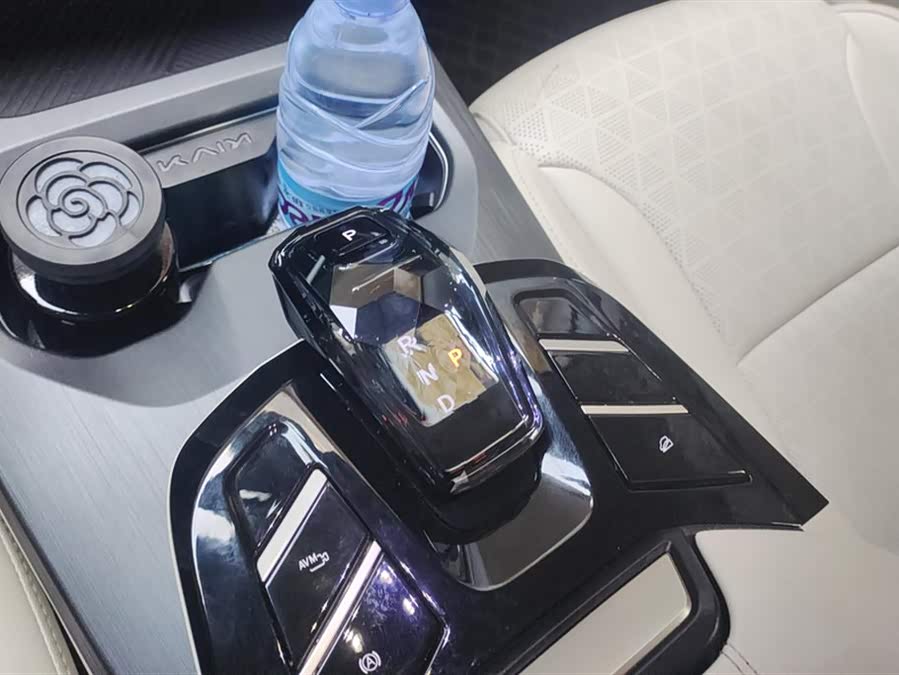 Kunlun New Energy 2024 immagine di auto #17
