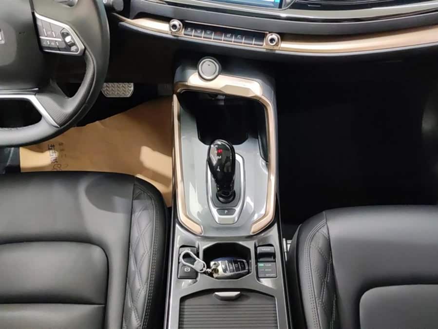 Haval H6 2021 car image #17