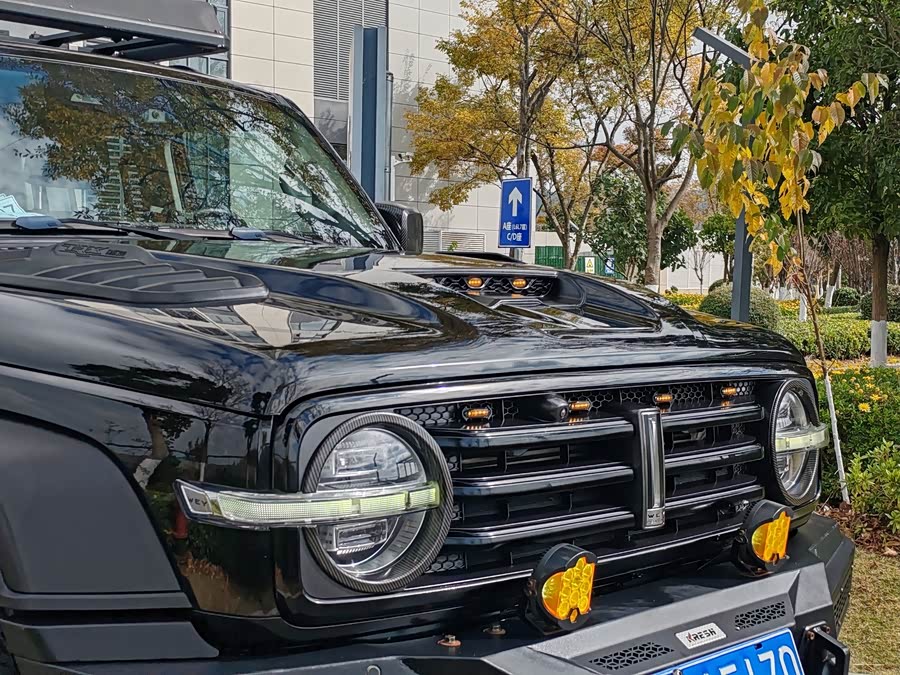 Tank 300 2021 car image #17