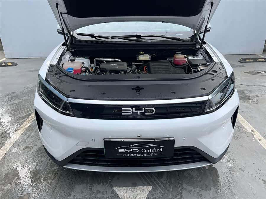 BYD Sea Lion 05 DM-i 2025 car image #17