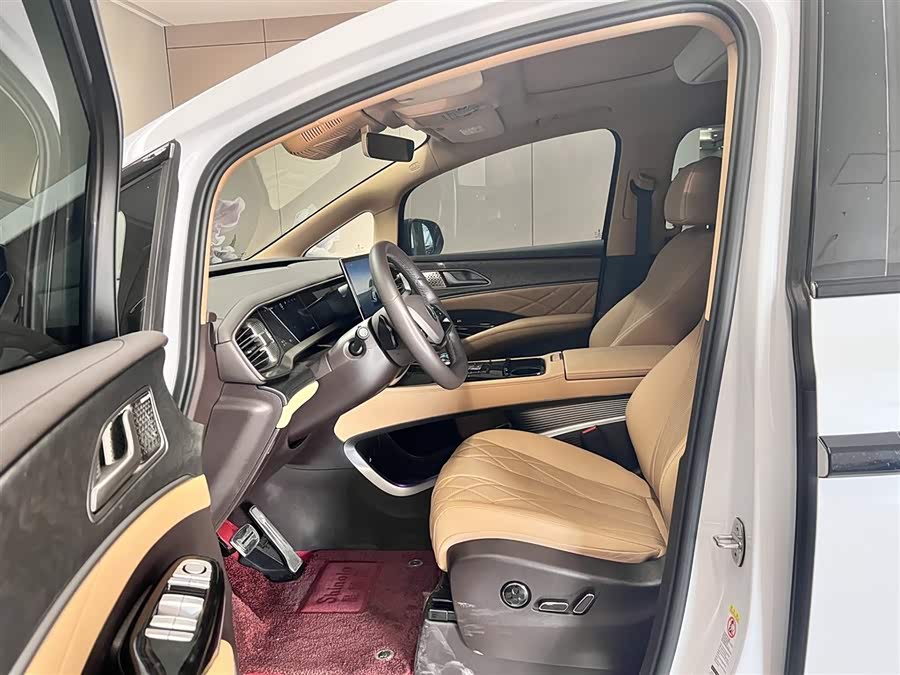 Denza D9 2025 car image #17