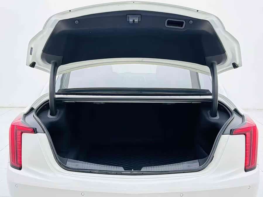 2021 car image #17