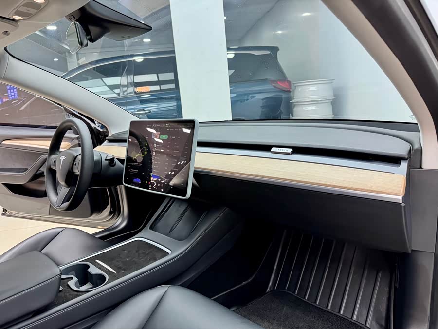 Tesla Model 3 2021 car image #17