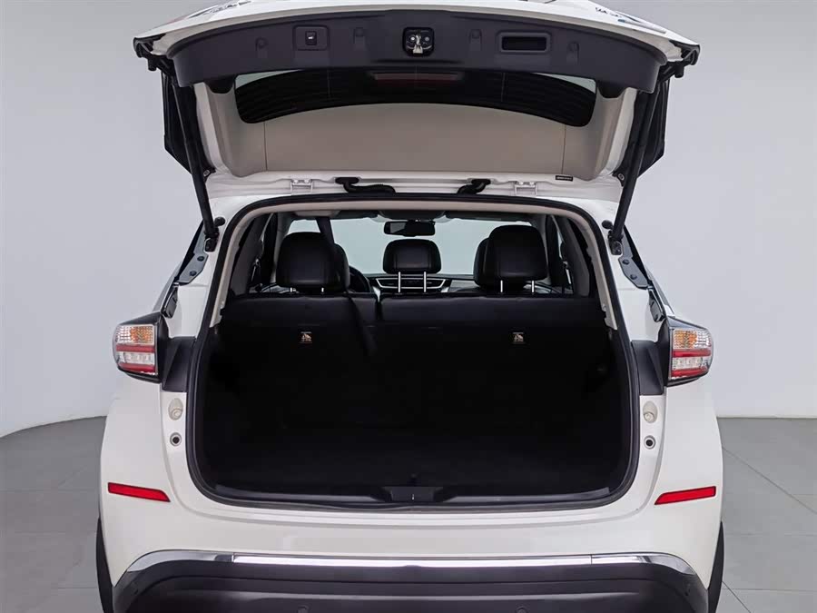 Nissan Murano 2019 imagen de coche #17