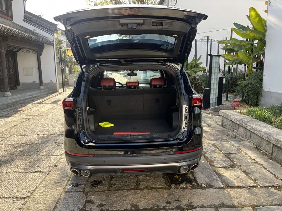 Jetour X70 PLUS 2021 car image #17