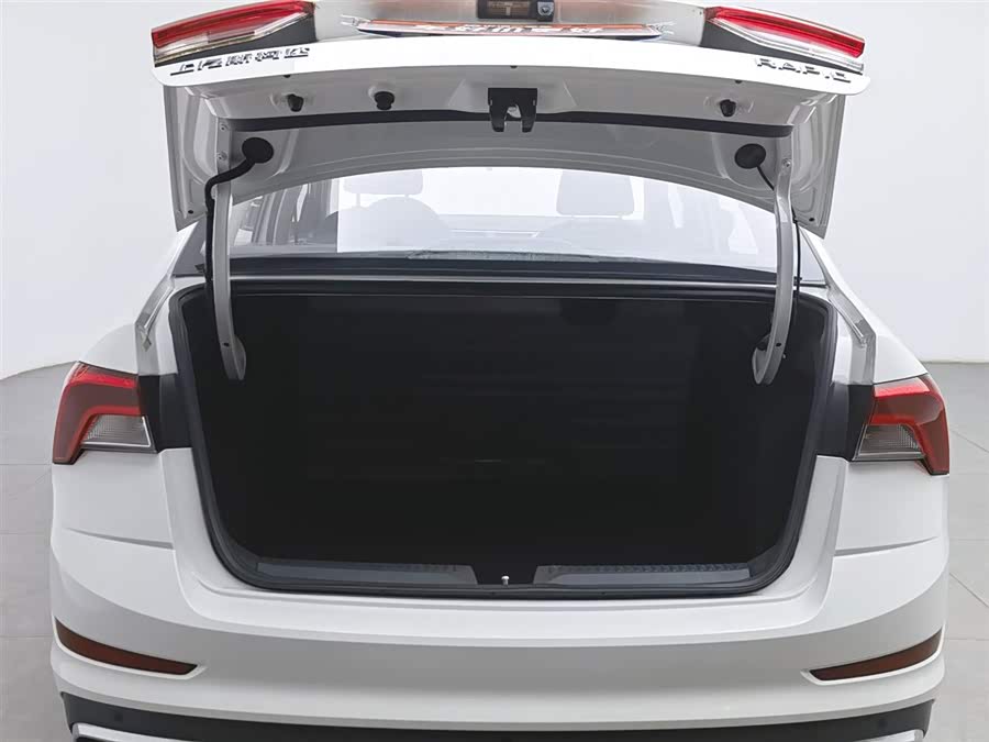Skoda Rapid 2020 imagen de coche #17