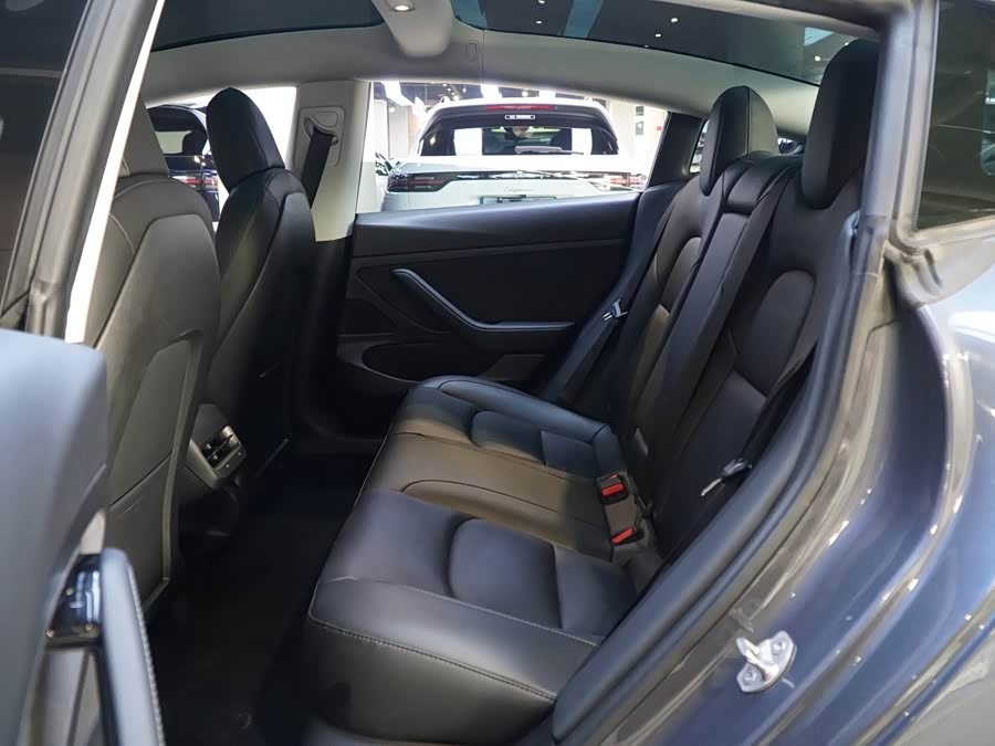 Tesla Model 3 2020 car image #17