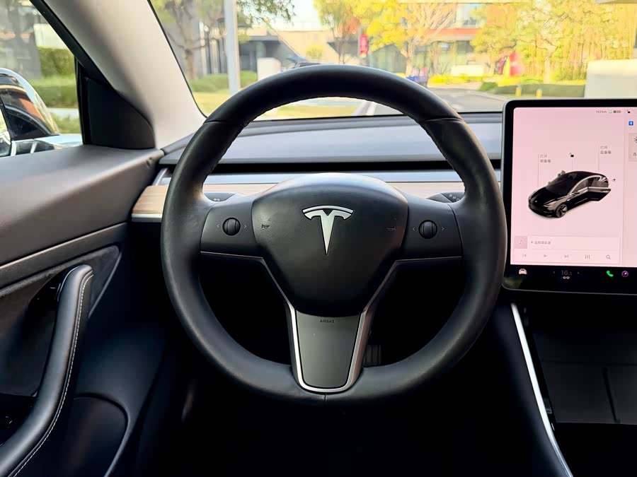 Tesla Model 3 2020 #17 Tesla Model 3 2020 car image #17