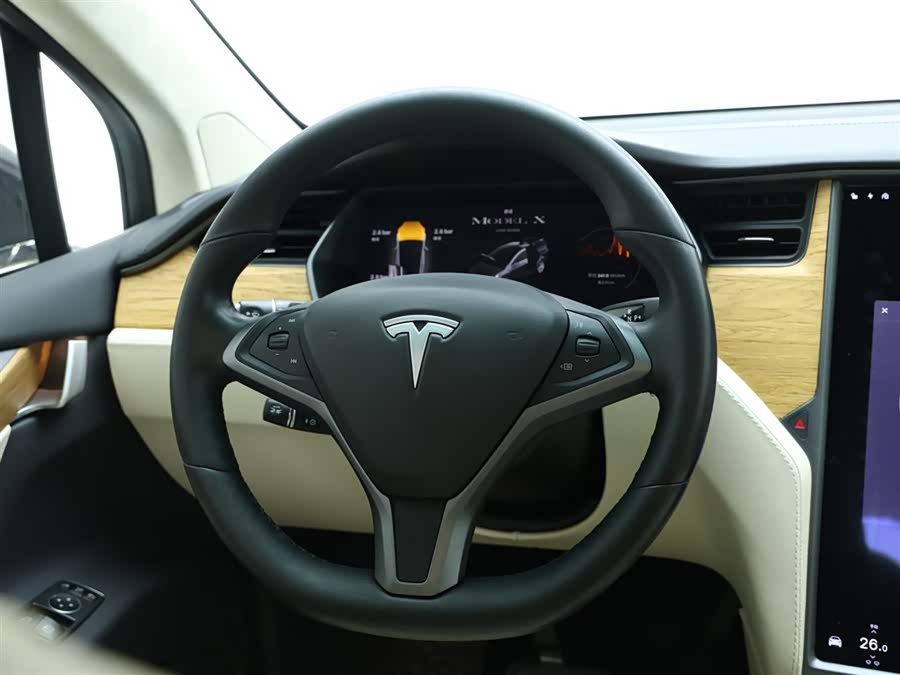 Tesla Model X 2019 immagine di auto #17