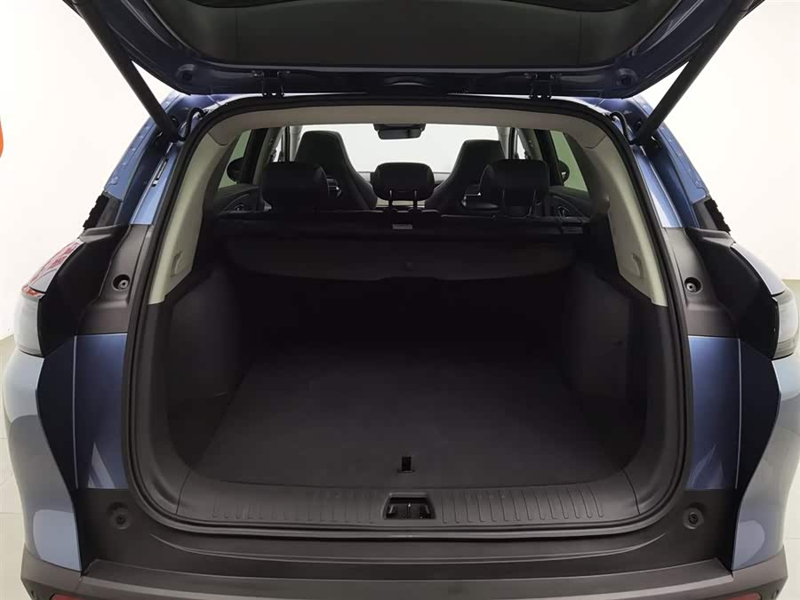 BYD Sea Lion 07 DM-i 2025 car image #17