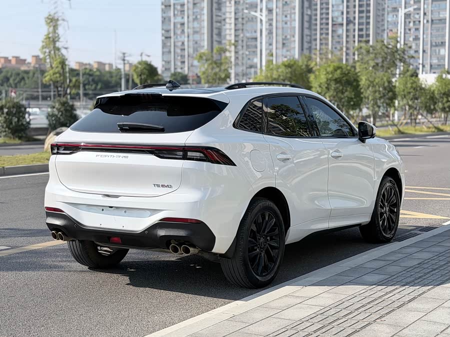 东风风行 风行T5 EVO 2021 汽车图片 #17