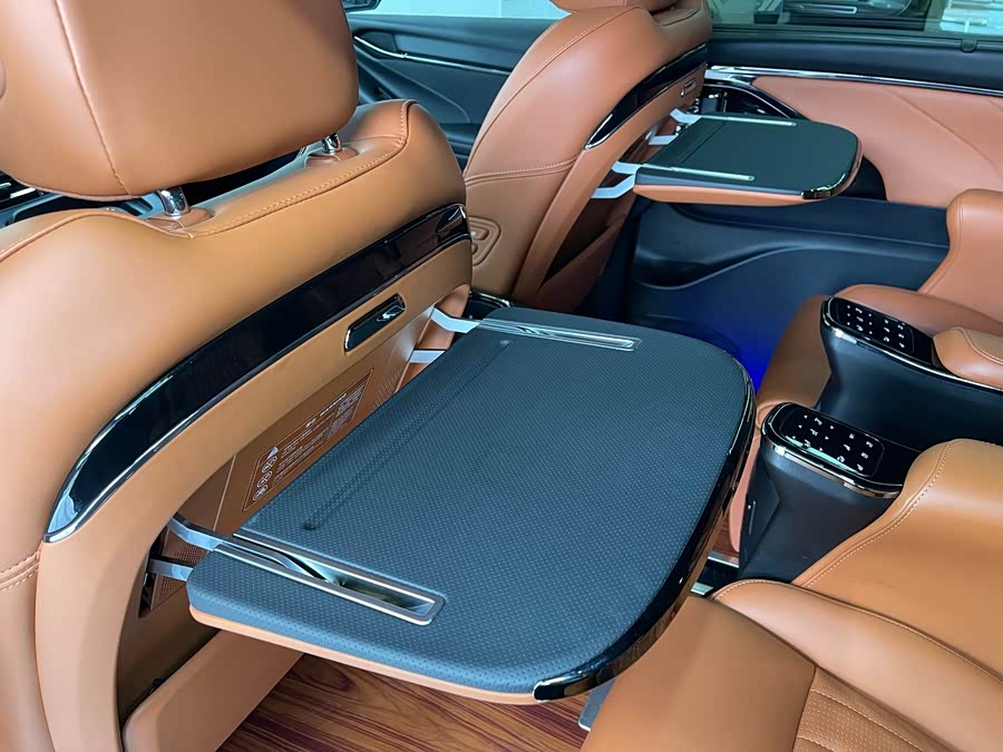 GAC Trumpchi E9 2024 car image #17