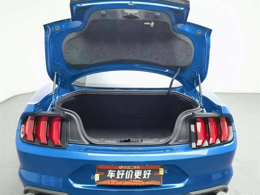 Ford Mustang 2023 immagine di auto #17