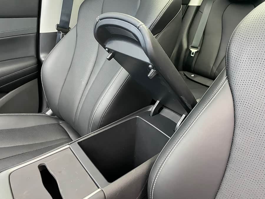 BYD Sea Lion 05 EV 2025 car image #17