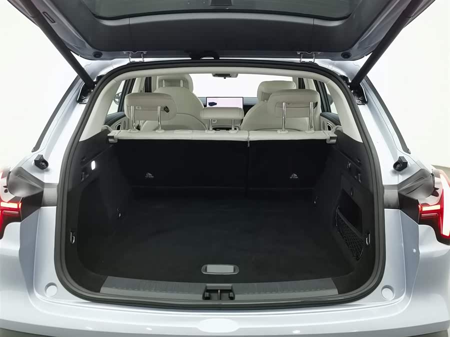 Neta L 2024 imagen de coche #17