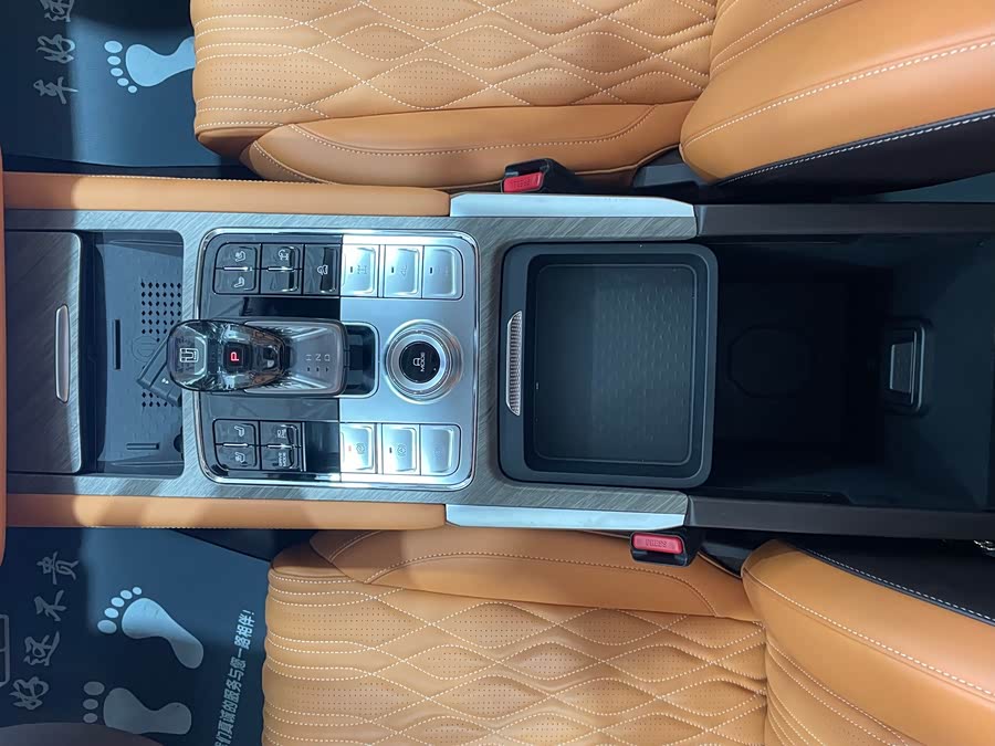 Tank 500 New Energy 2024 car image #17