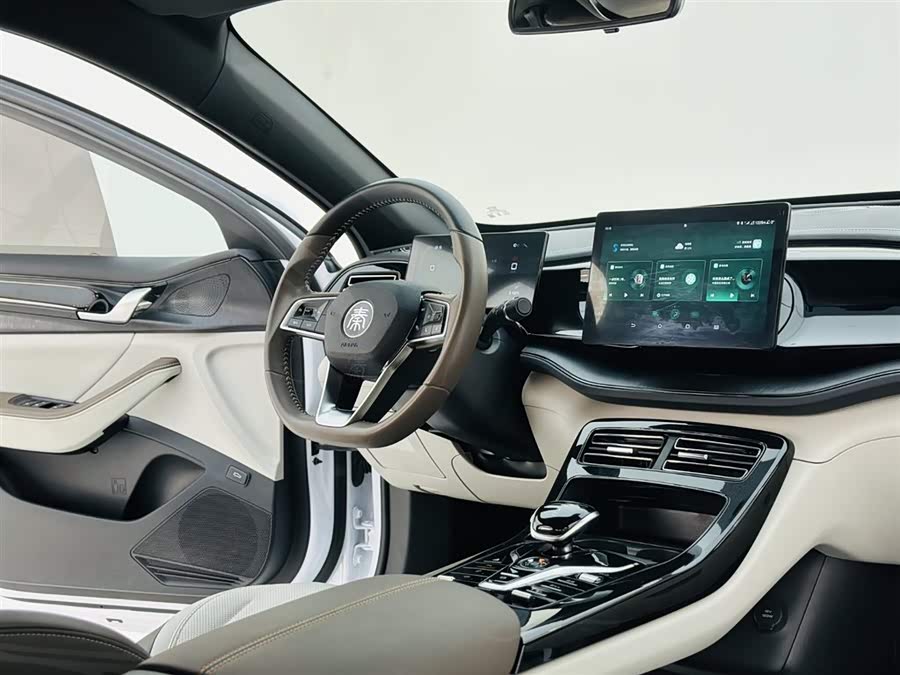 BYD Qin Plus 2023 car image #17