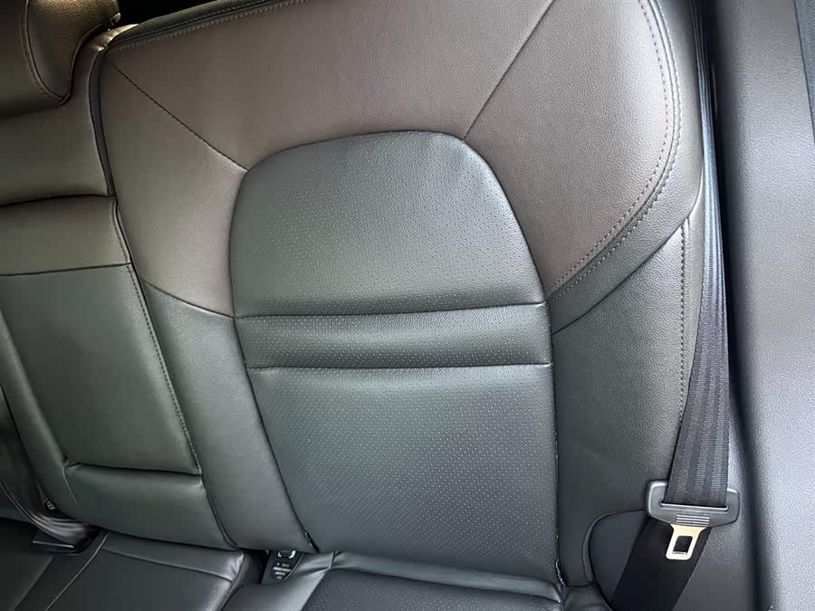 GAC Qizhi PHEV 2018 immagine di auto #17