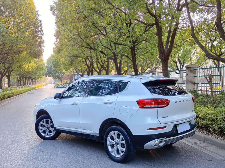 Haval H6 2020 car image #17