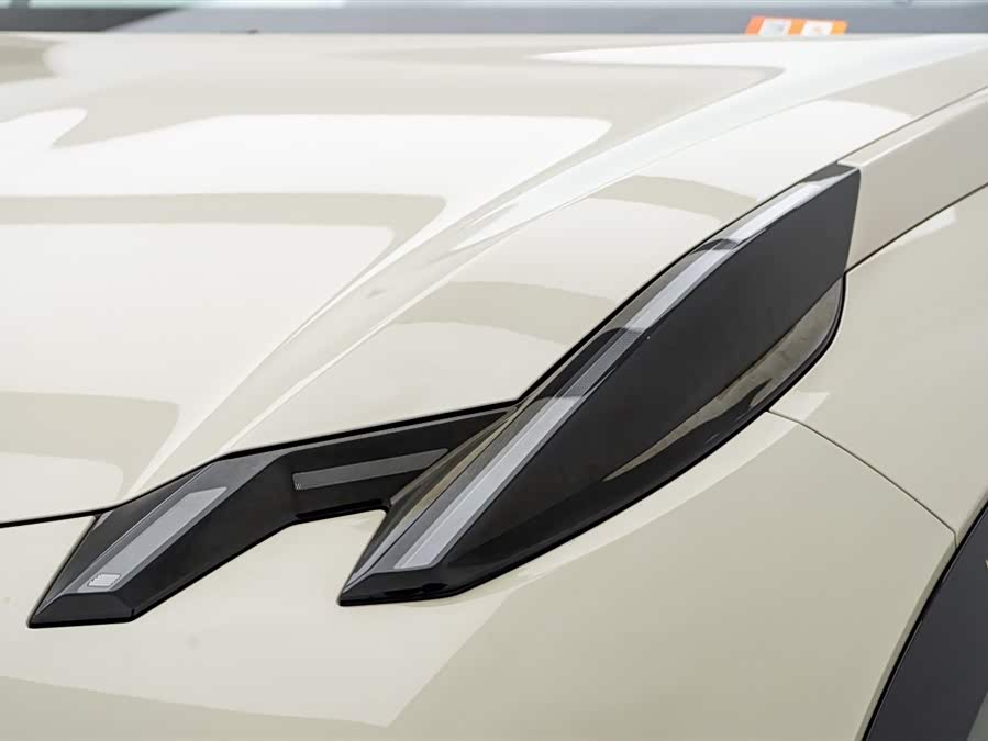 极氪 极氪X 2024 汽车图片 #17