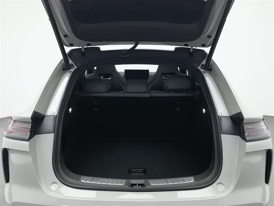Denza 2023 car image #17