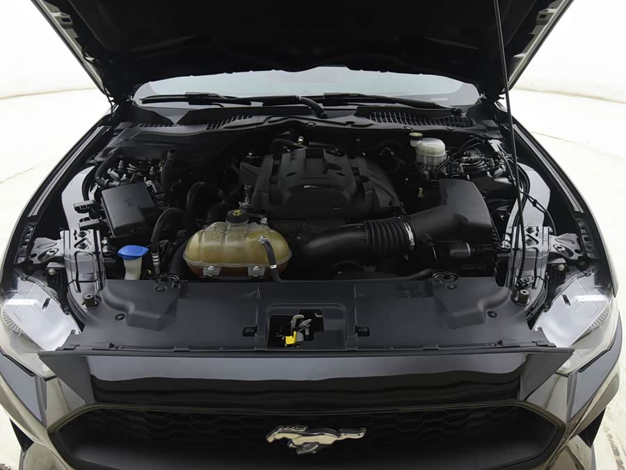 Ford Mustang 2022 صورة سيارة #17